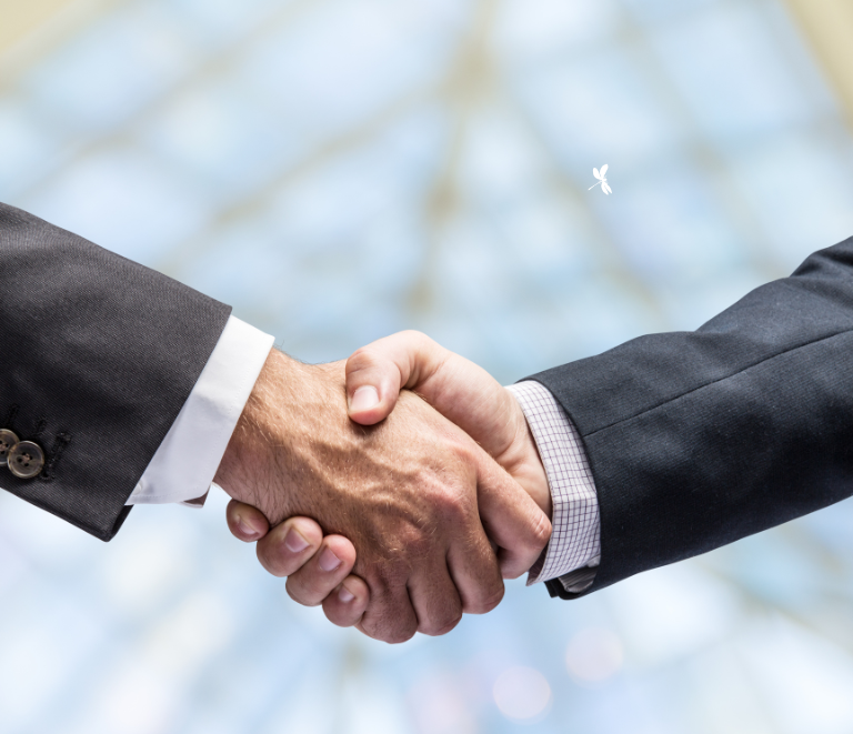 Create and Manage Content